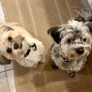 Meet your Posher, Dayna